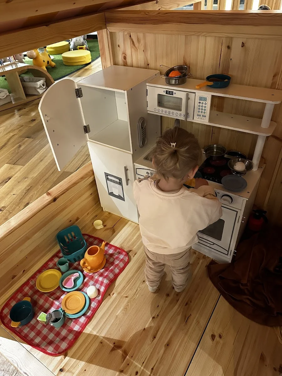 Macaroni Penguin - Foto 4