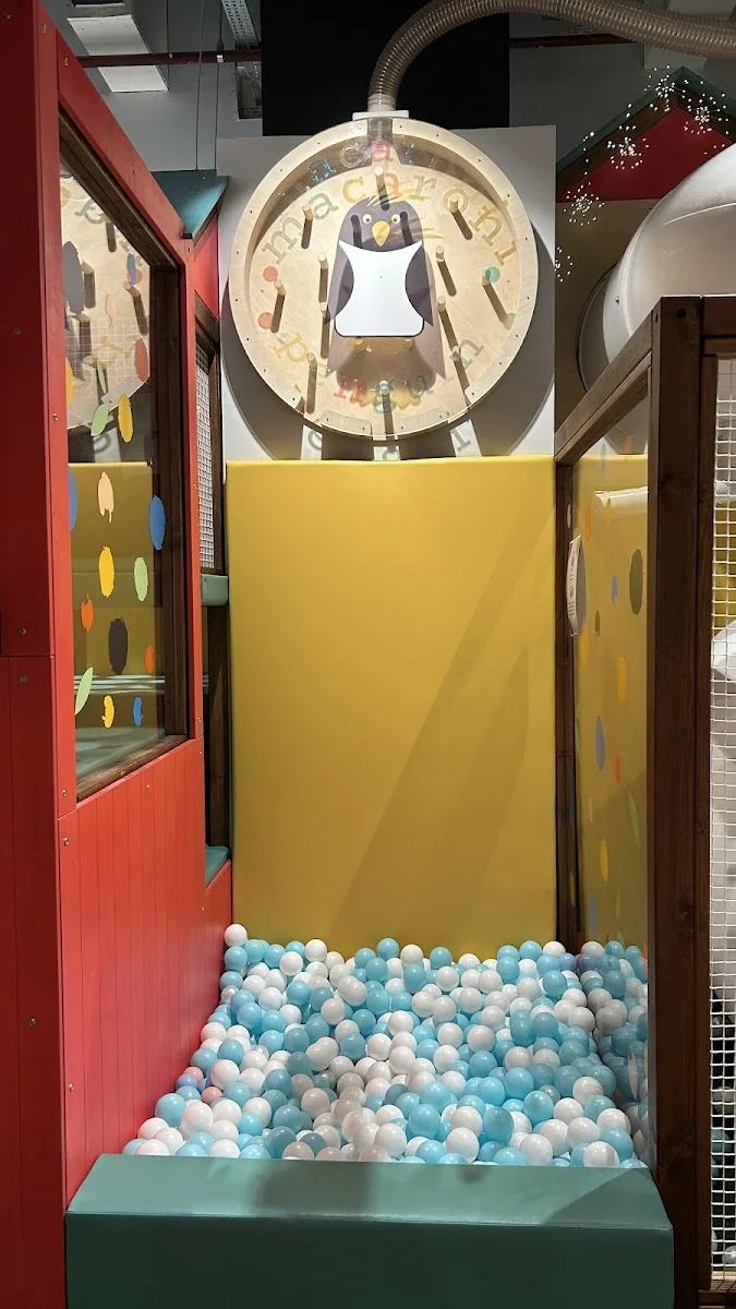 Macaroni Penguin - Foto 6