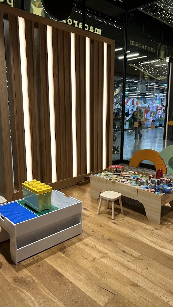 Macaroni Penguin - Foto 7