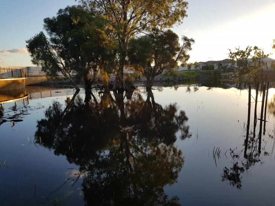 Jungle Park Whiteman Edge - Foto 9