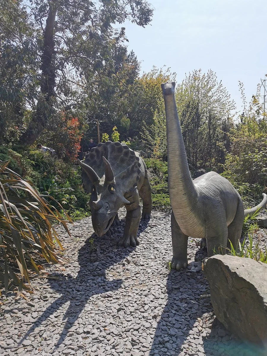 Springfields Adventure Land - Foto 3