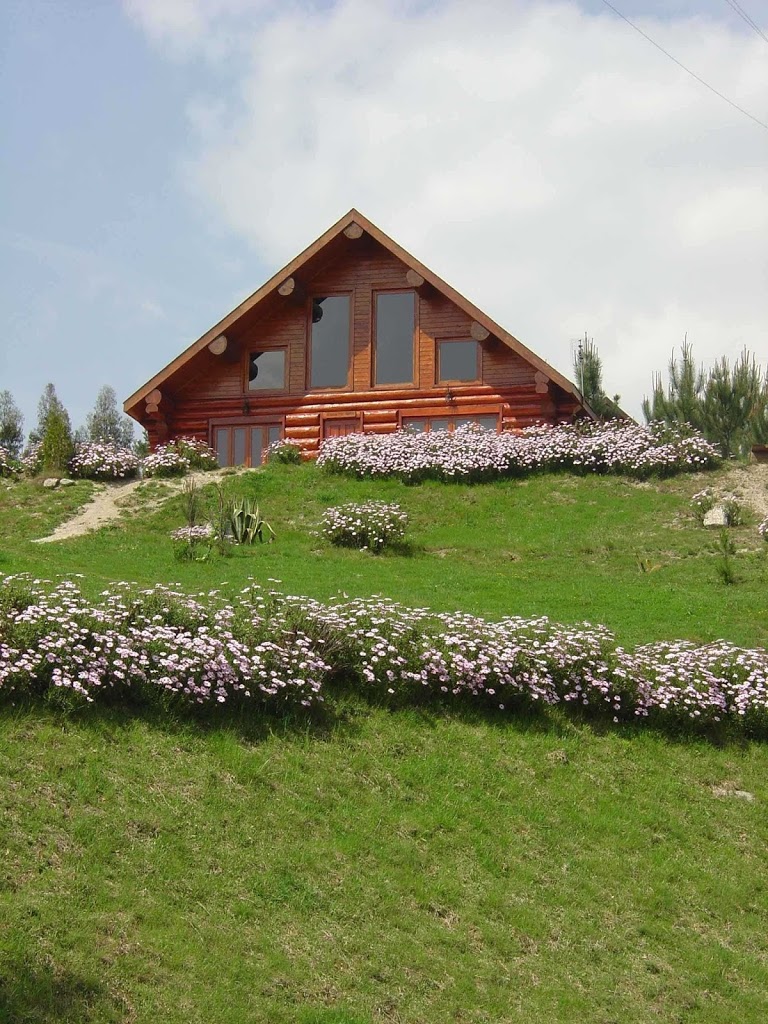 DiverLanhoso - Foto 2