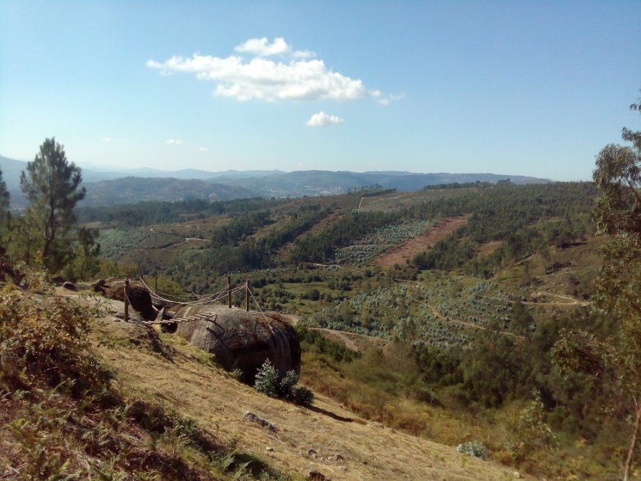 DiverLanhoso - Foto 6