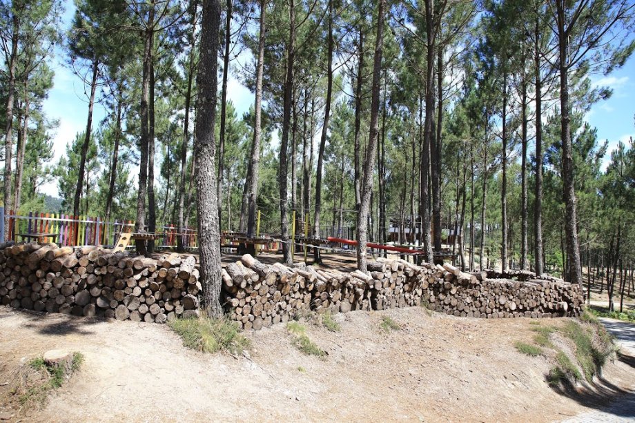 DiverLanhoso - Foto 7