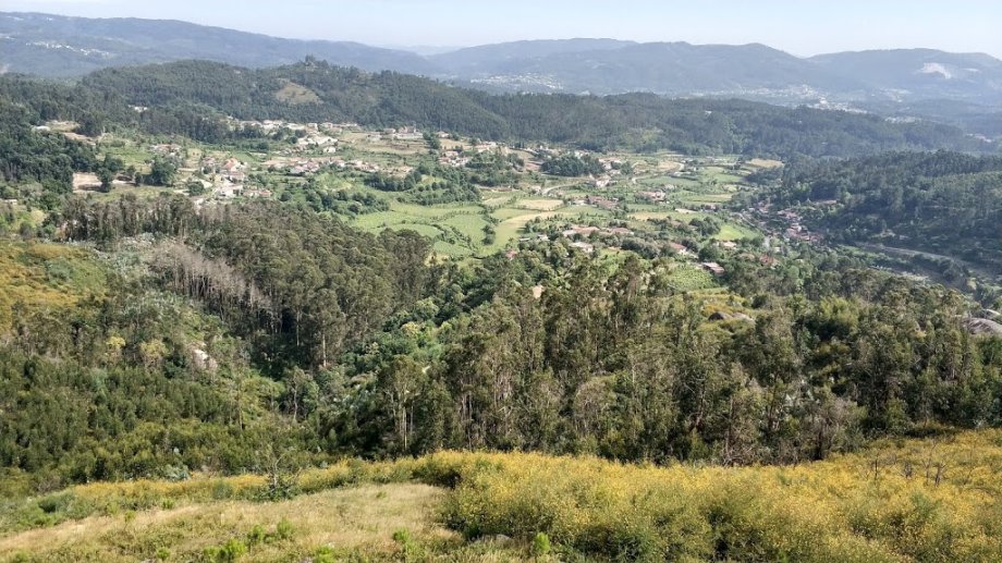 DiverLanhoso - Foto 10