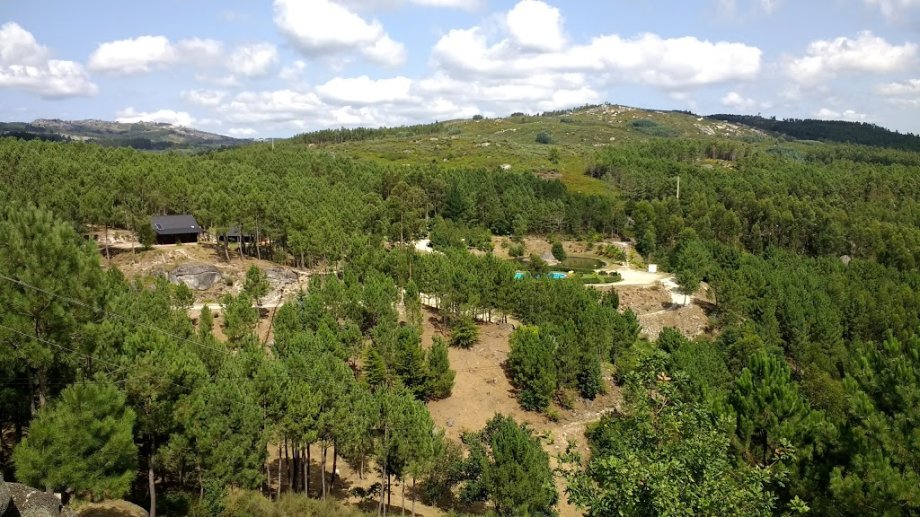 DiverLanhoso - Foto 12