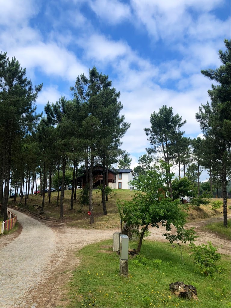 DiverLanhoso - Foto 13