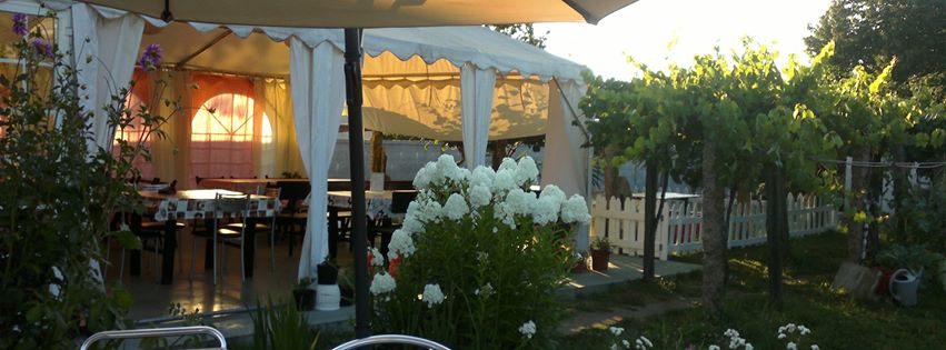 El Alambre del Abuelo 13