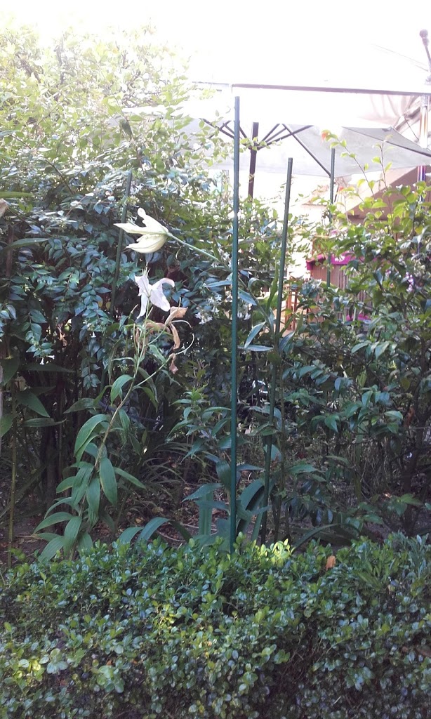 Casa Felisa - Foto 1