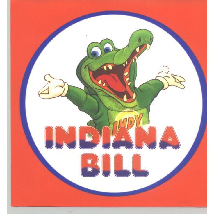 Indiana Bill Parque Infantil 9