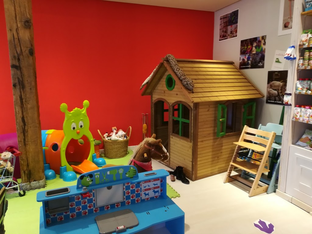 Alopeke Centro Infantil 4