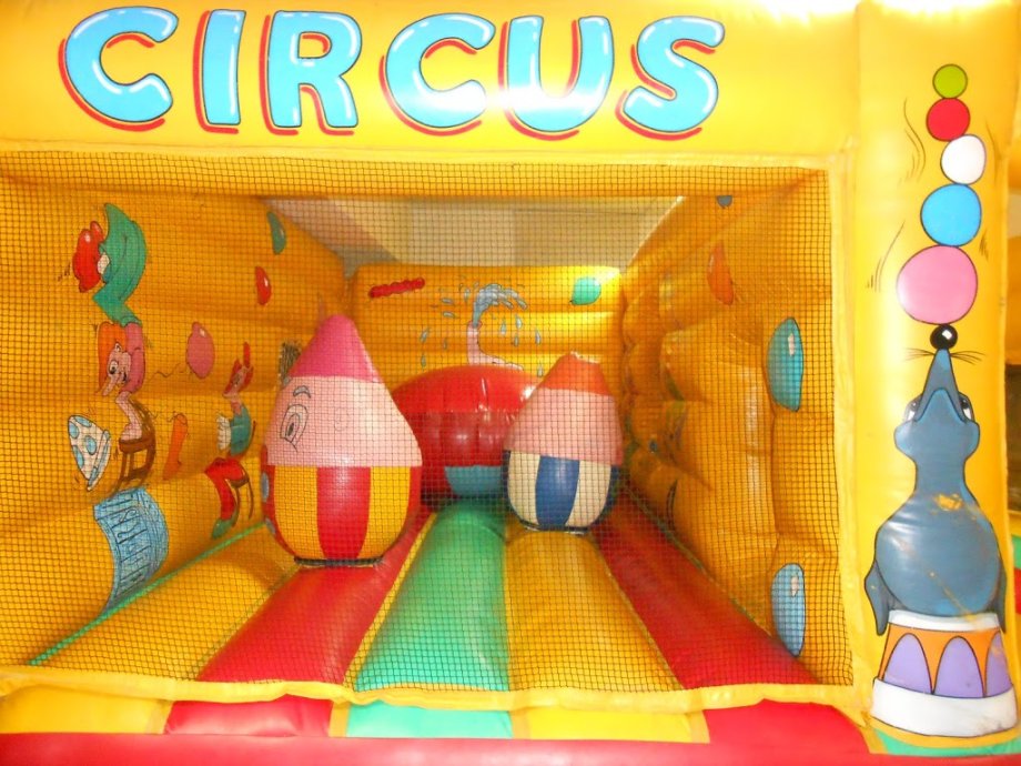 Dinopeppino - Foto 18