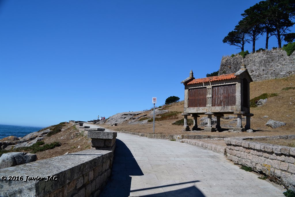 Parque da Palma - Foto 1