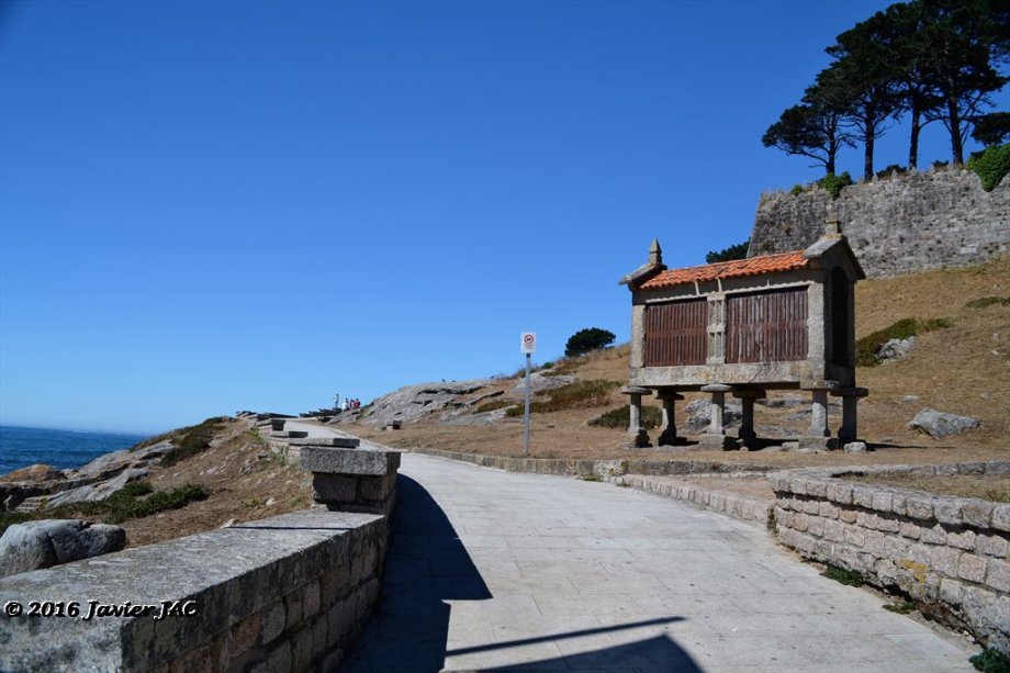 Parque da Palma - Foto 3