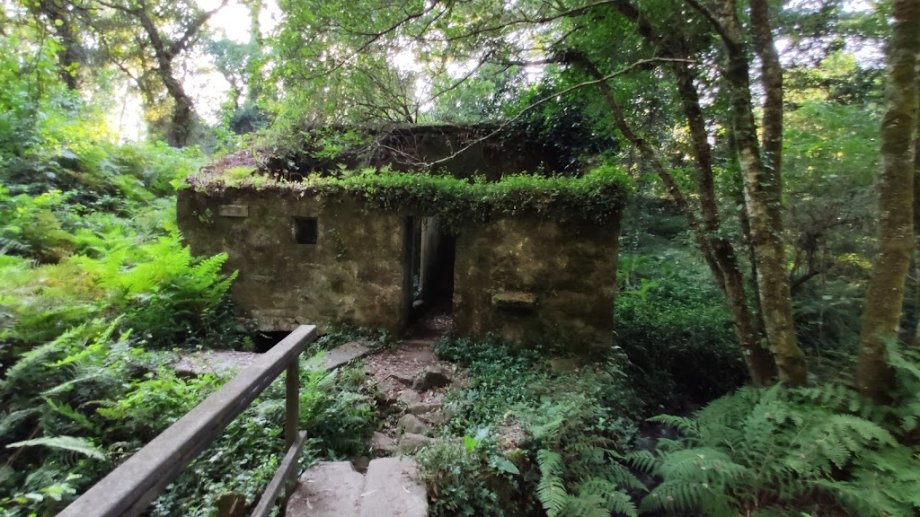 Bosque Encantado - Foto 2