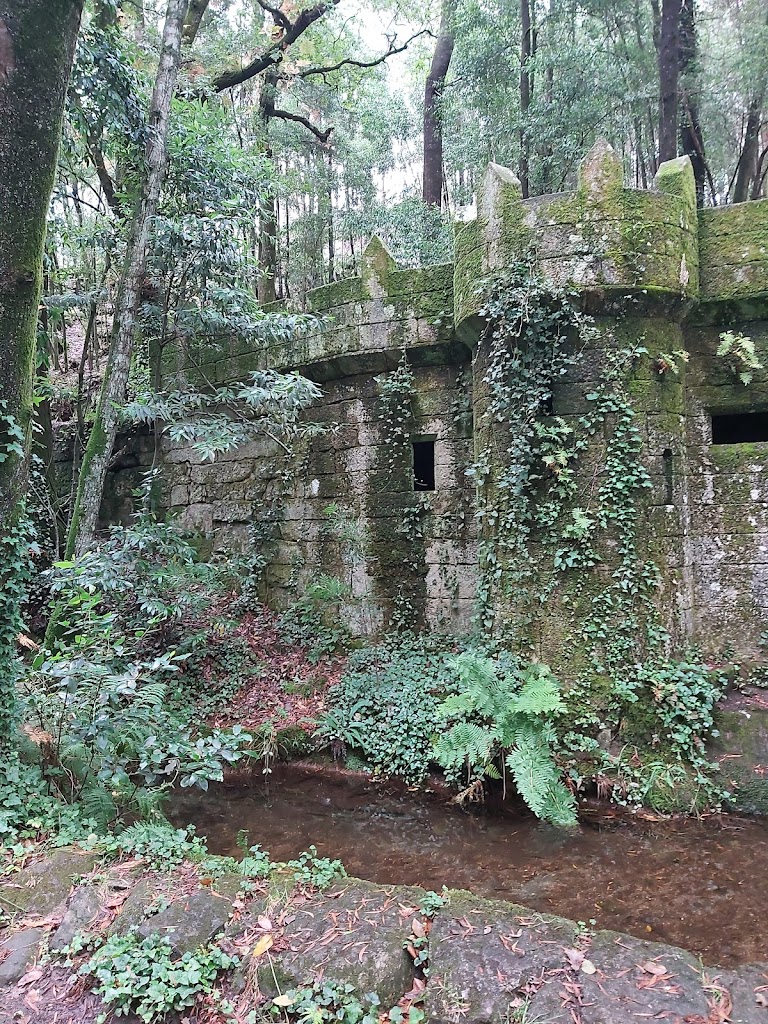 Bosque Encantado - Foto 4