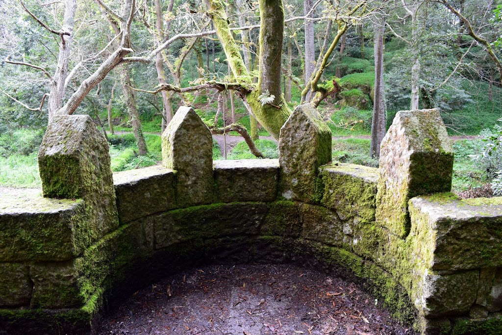 Bosque Encantado - Foto 1