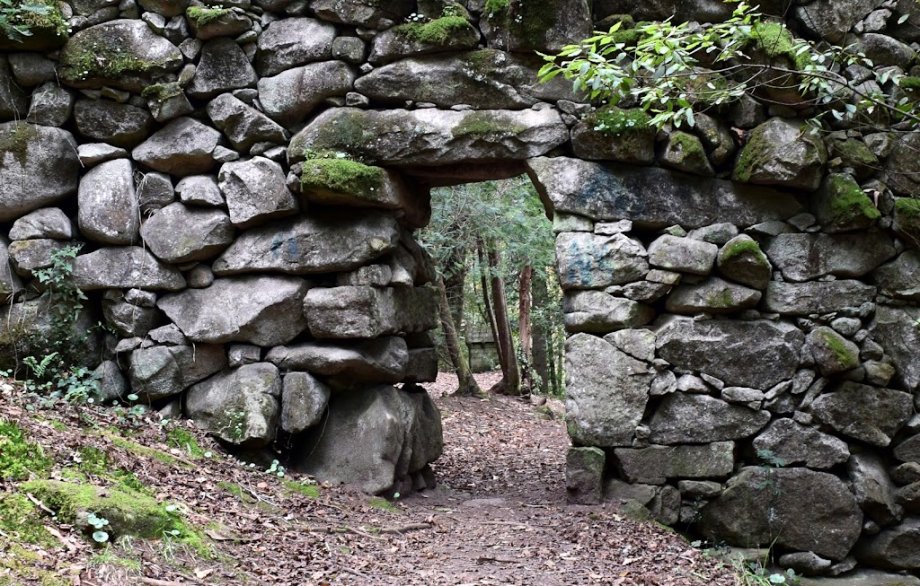 Bosque Encantado - Foto 8