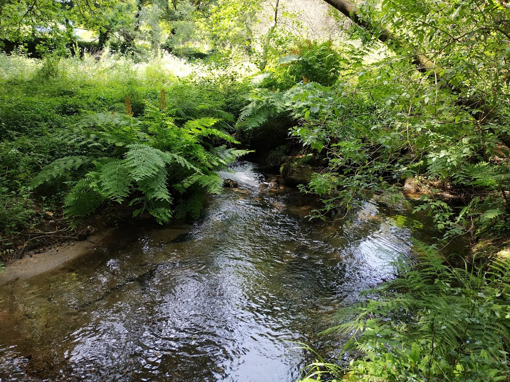 Bosque Encantado - Foto 1