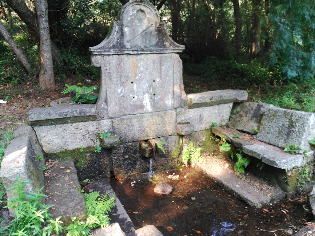 Bosque Encantado - Foto 1