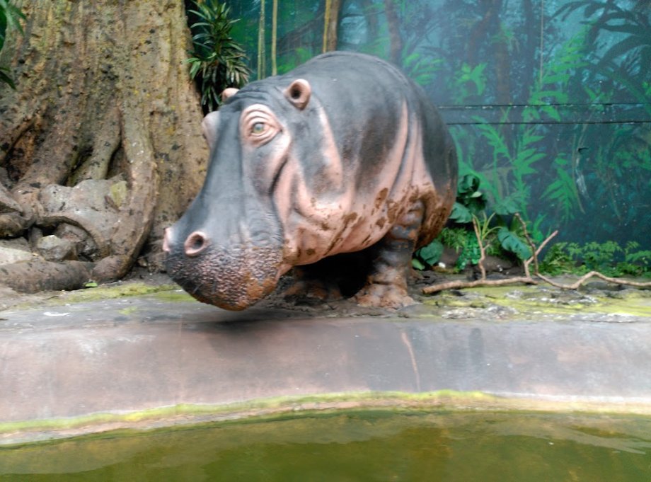 World of Discoveries - Foto 8