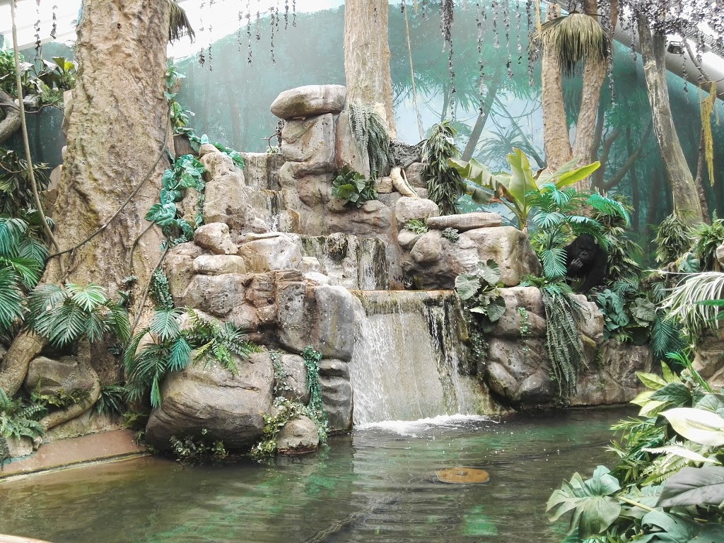 World of Discoveries 24