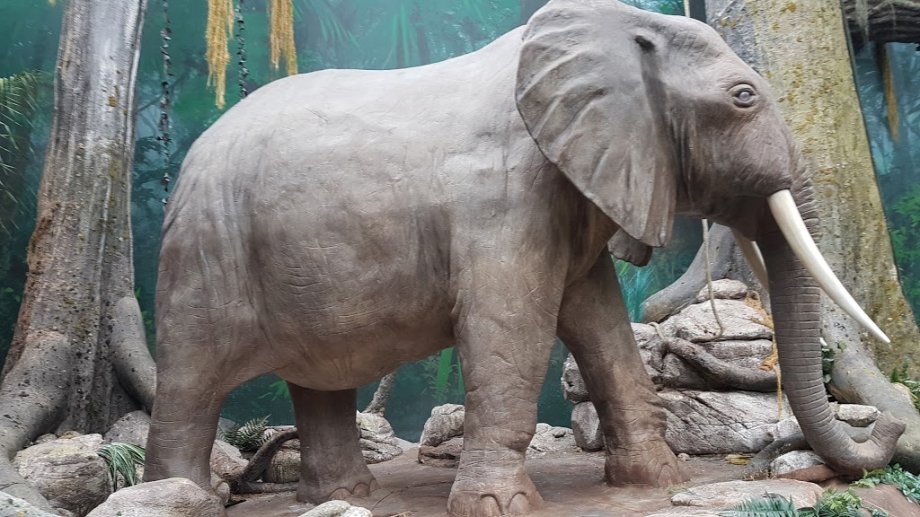 World of Discoveries - Foto 12