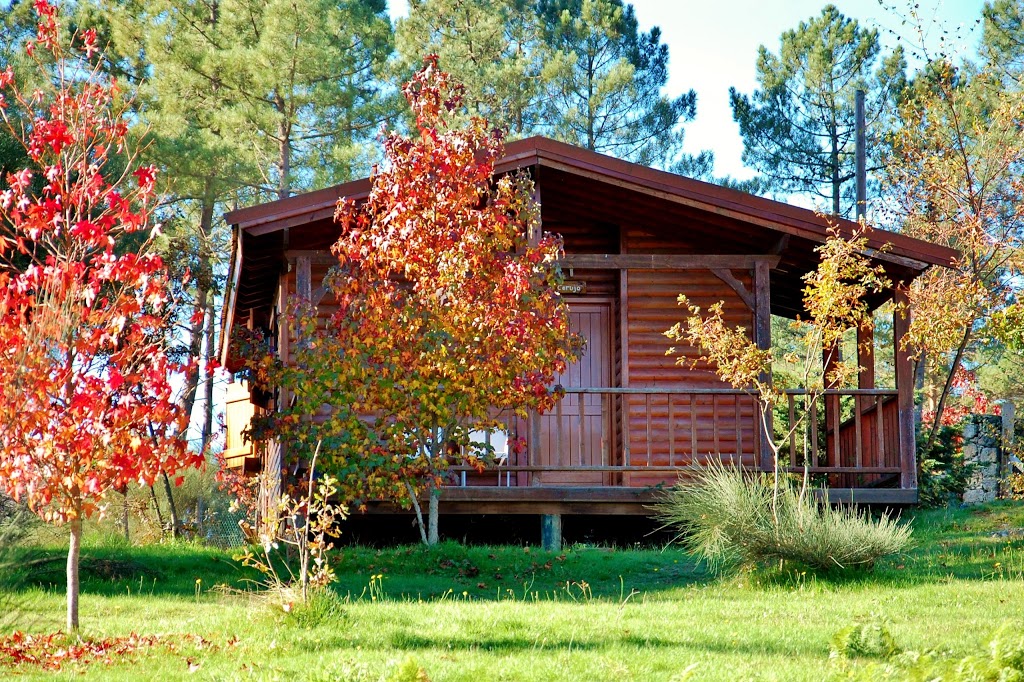 Parque Pena Aventura 17