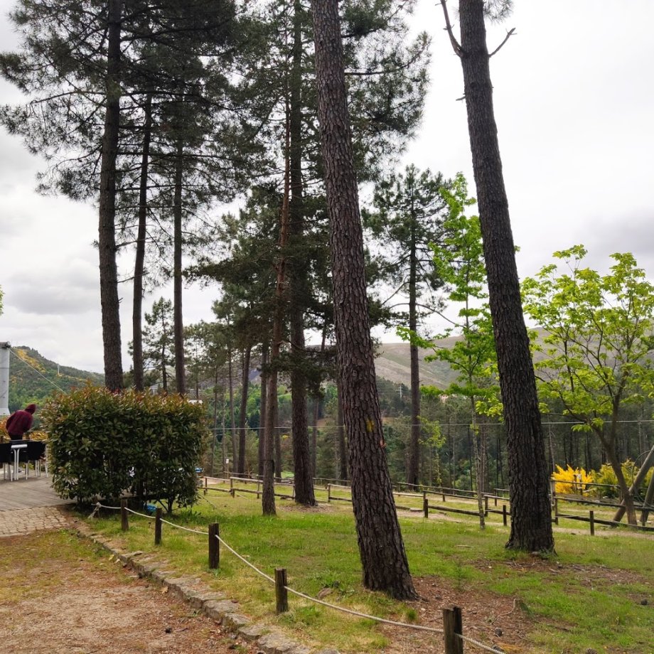 Parque Pena Aventura - Foto 11