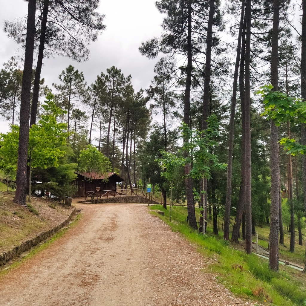 Parque Pena Aventura 4