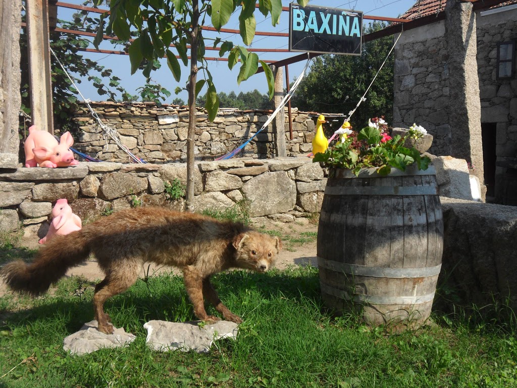 Tapería Baxiña - Foto 1