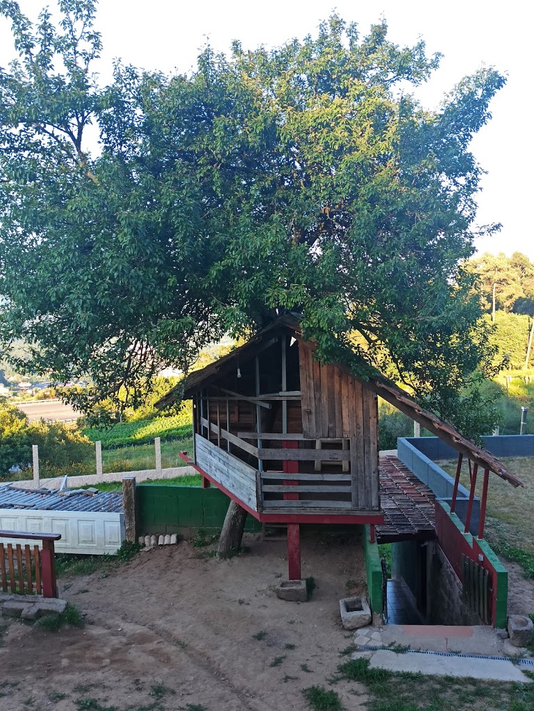 Tapería Baxiña - Foto 25