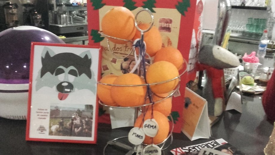 Que Viene El Lobo - Foto 9