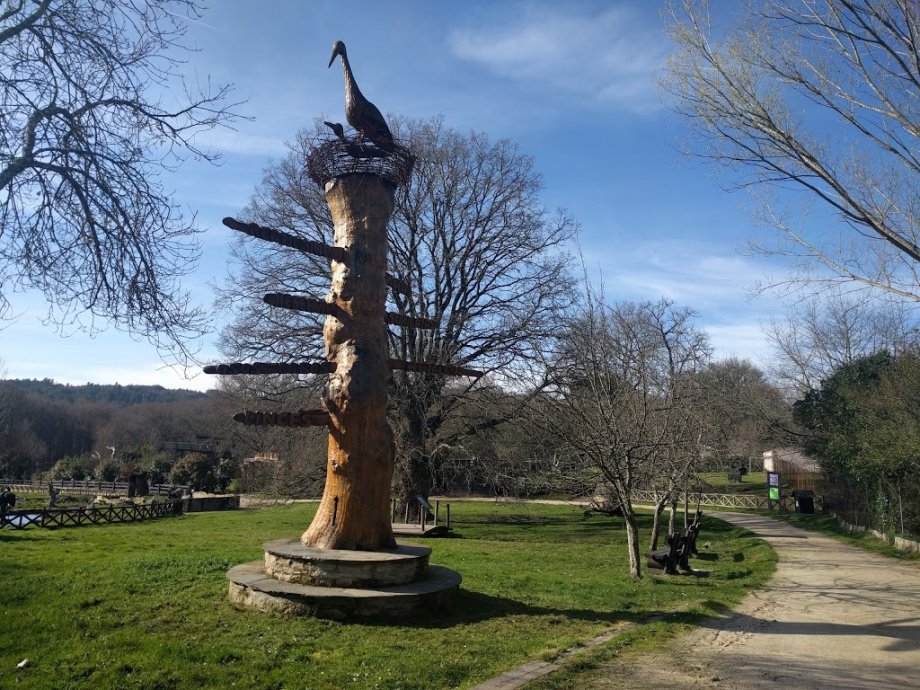 Marcelle Natureza - Foto 4