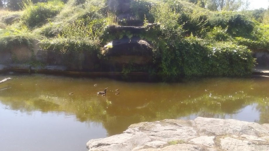 Marcelle Natureza - Foto 5