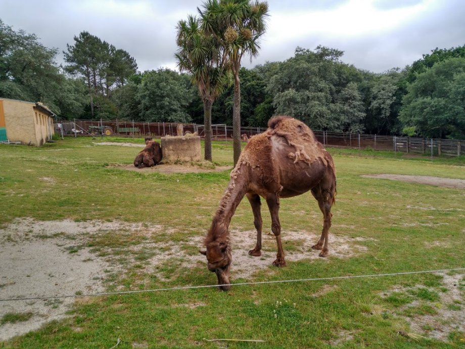 Marcelle Natureza - Foto 6