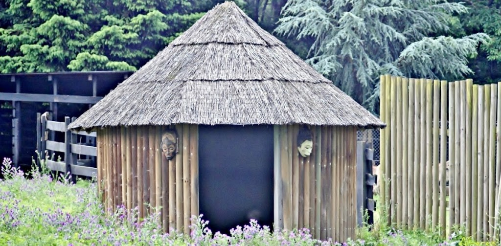 Marcelle Natureza 25