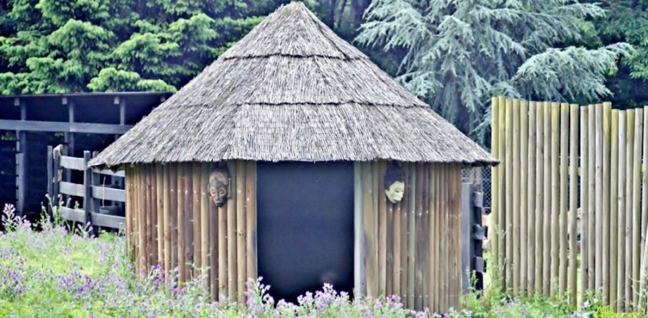 Marcelle Natureza - Foto 7