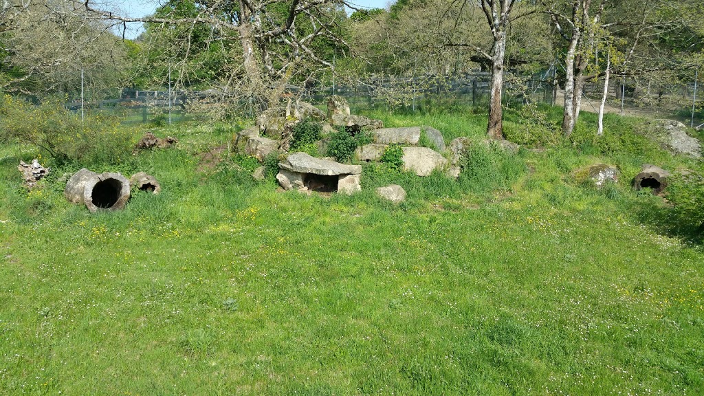 Marcelle Natureza 26