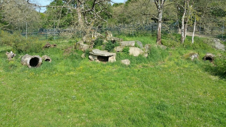 Marcelle Natureza - Foto 8