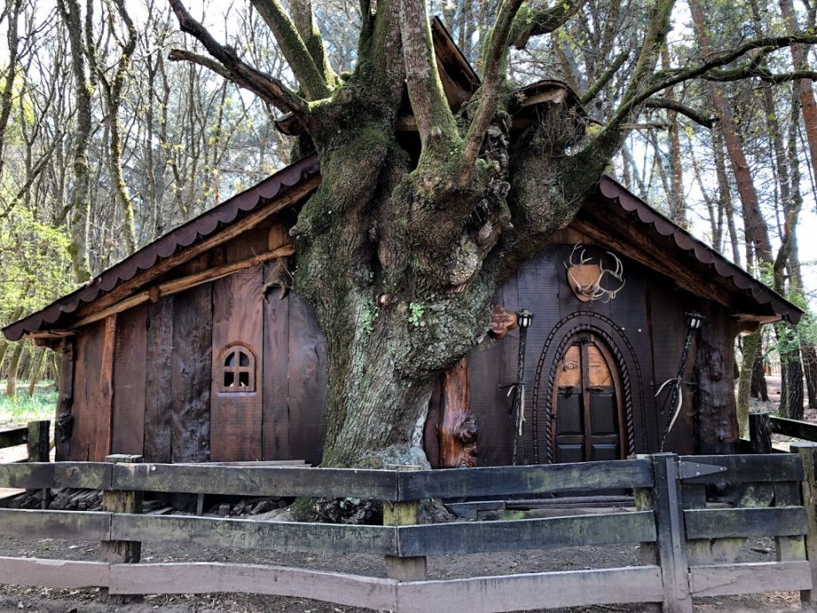 Marcelle Natureza - Foto 13