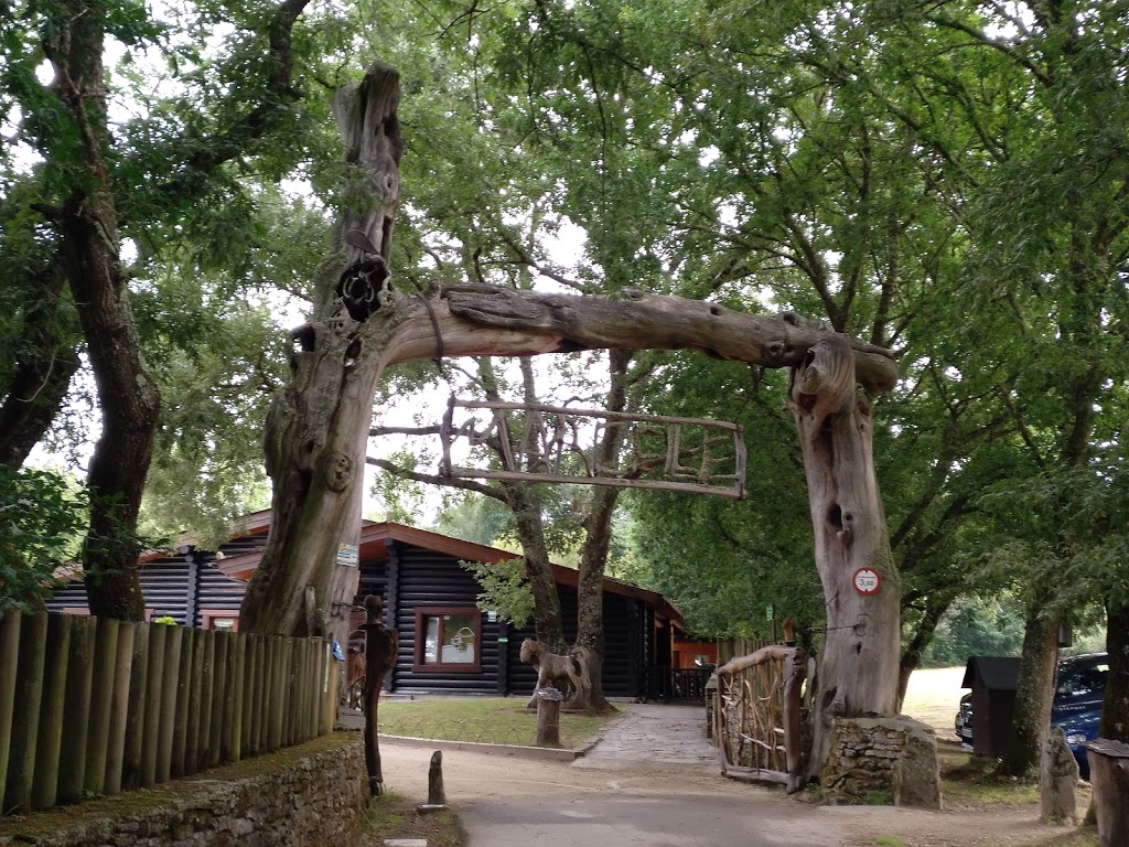 Marcelle Natureza 12