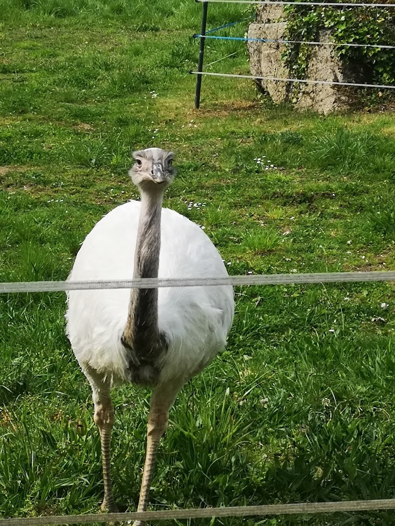 Marcelle Natureza - Foto 16