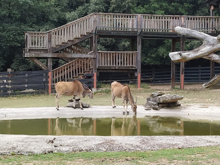 Marcelle Natureza - Foto 17