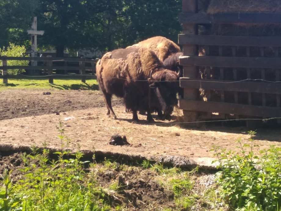 Marcelle Natureza - Foto 22