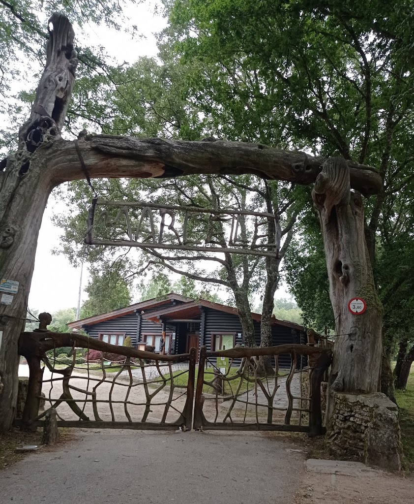 Marcelle Natureza - Foto 23