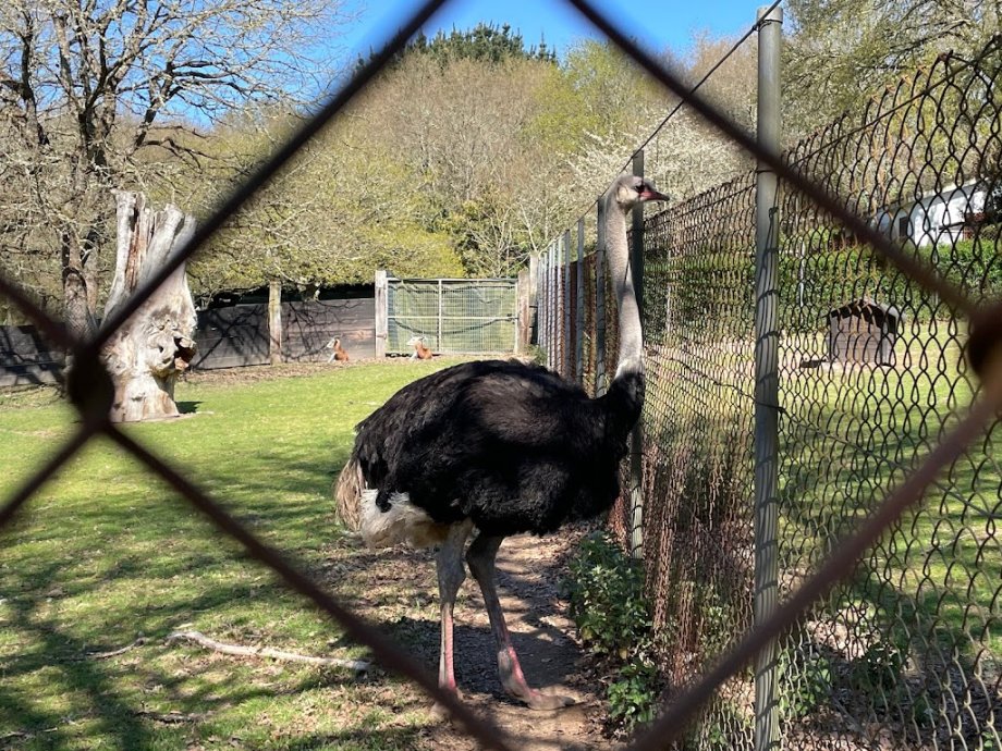 Marcelle Natureza - Foto 26