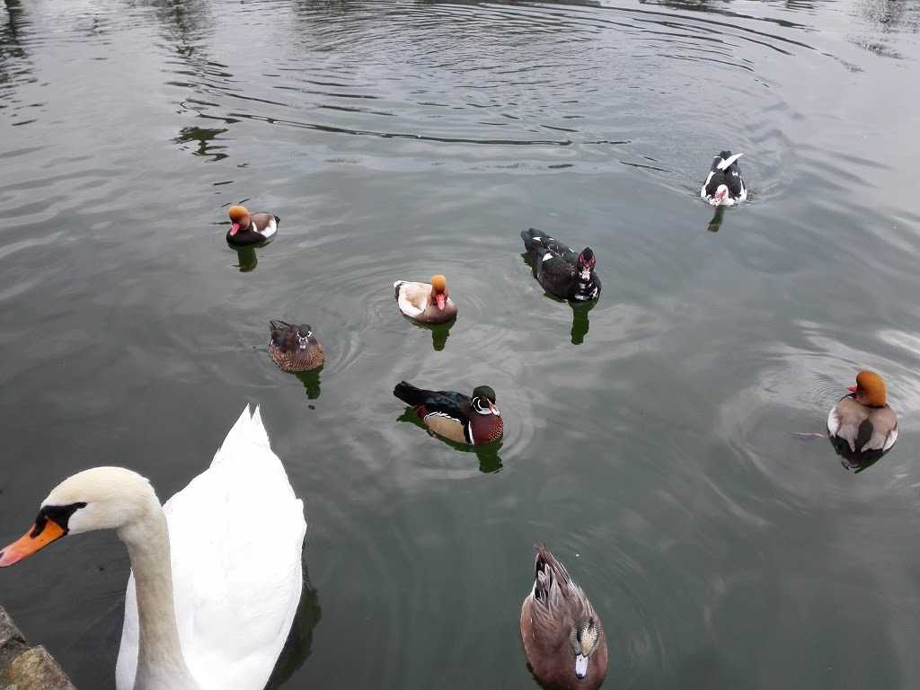 Parque da Canuda - Foto 1