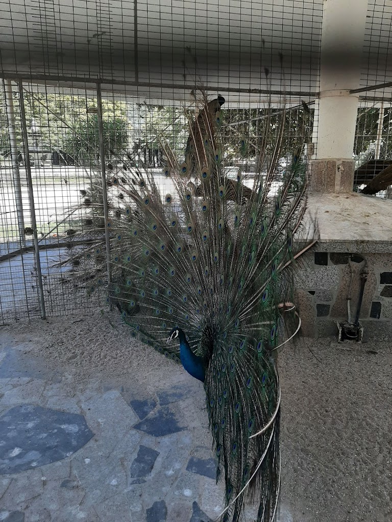 Parque da Canuda - Foto 1