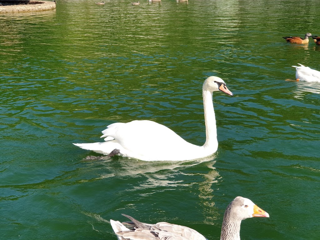 Parque da Canuda - Foto 1